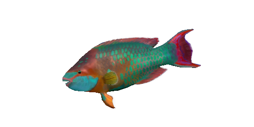Papageifisch