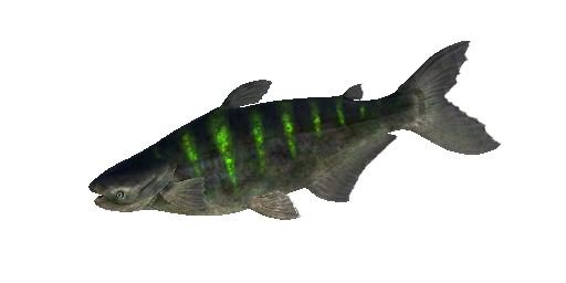 Säurefisch